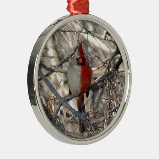 Wilde Kardinaal Bird Half Male, half Vrouw Metalen Ornament (Rechts)