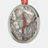 Wilde Kardinaal Bird Half Male, half Vrouw Metalen Ornament (Links)
