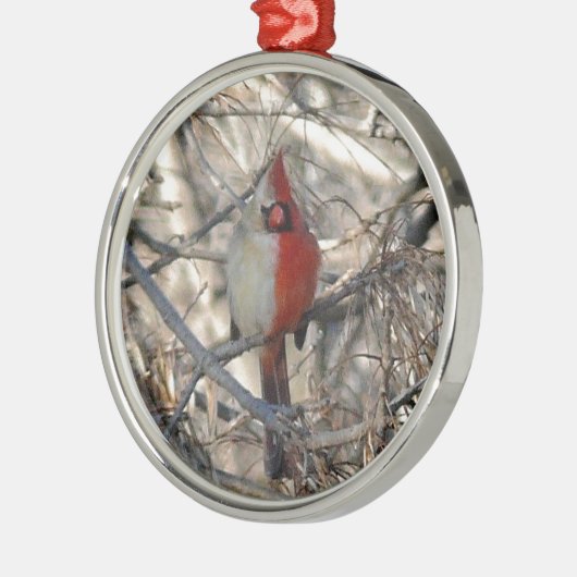 Wilde Kardinaal Bird Half Male, half Vrouw Metalen Ornament (Links)