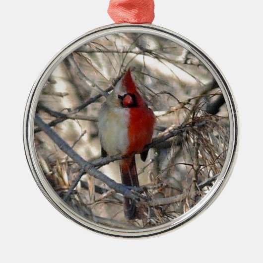 Wilde Kardinaal Bird Half Male, half Vrouw Metalen Ornament (Voorkant)