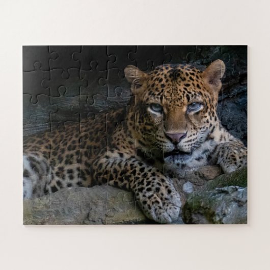 Wilde kat Jaguar Dier Legpuzzel (Horizontaal)