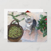 Wilde kat kitten Giannino met olijfkist Briefkaart (Voorkant / Achterkant)