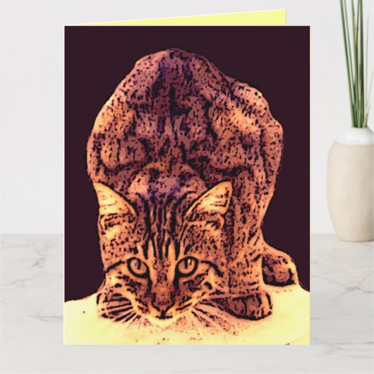 WILDE KAT KITTEN KAART (Voorkant)