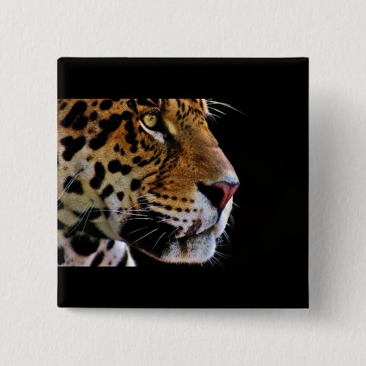 wilde kat spinnen vierkante button 5,1 cm (Voorkant)
