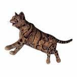 wilde kat staand fotobeeldje<br><div class="desc">Een mooie wilde kat</div>
