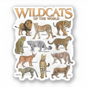 Wilde Katachtigen Dieren van de Wereld Educatieve  Sticker