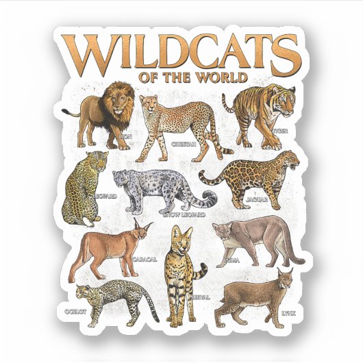 Wilde Katachtigen Dieren van de Wereld Educatieve Sticker (Voorkant)