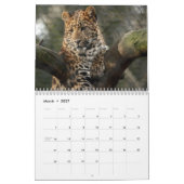Wilde katten 2008 Agenda! Kalender (Mar 2027)