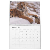 Wilde katten 2008 Agenda! Kalender (Feb 2027)