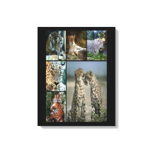 Wilde katten collage Wrapped Canvas