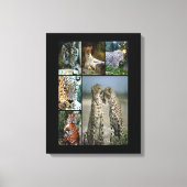 Wilde katten collage Wrapped Canvas (Voorkant)
