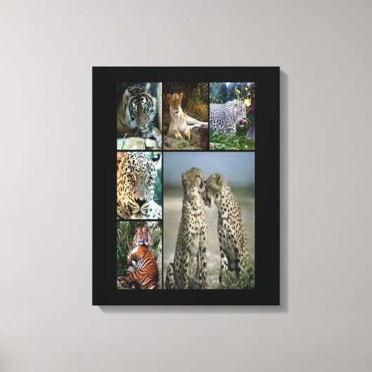 Wilde katten collage Wrapped Canvas Afdruk (Voorkant)