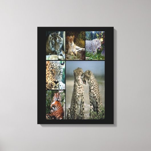 Wilde katten collage Wrapped Canvas Afdruk (Voorkant)