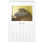 Wilde katten, wilde katten kalender (Mar 2027)