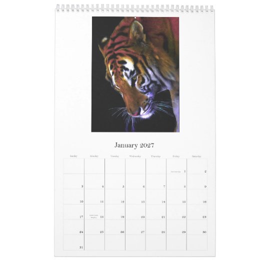 Wilde katten, wilde katten kalender (Jan 2027)