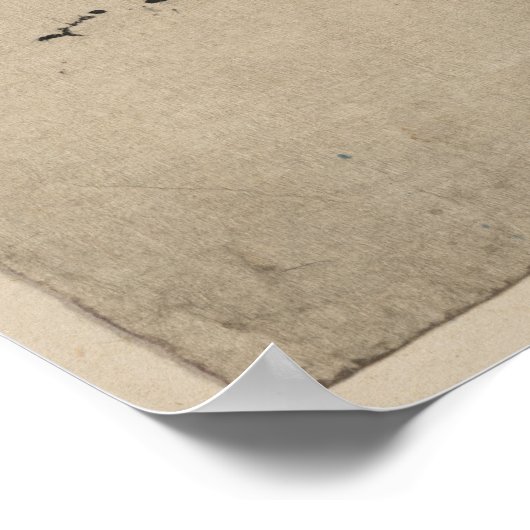 Wilde kippen en pijn poster (Hoek)