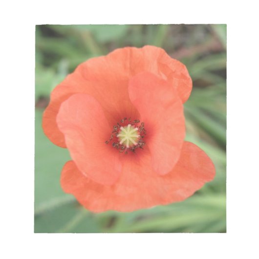 Wilde Klaproos Bloem Notitieblok (Voorkant)