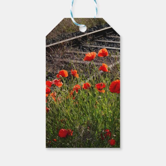 Wilde klaproos cadeaulabel (Achterkant)