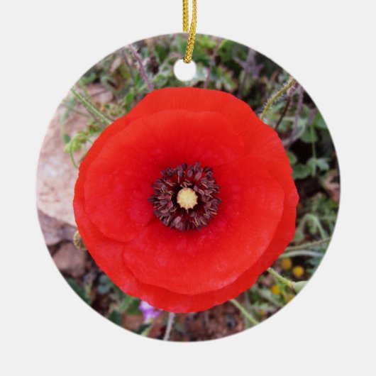 Wilde Klaproos Keramisch Ornament (Voorkant)