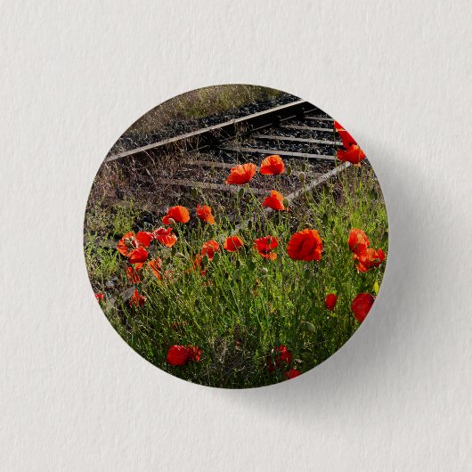 Wilde klaproos       ronde button 3,2 cm (Voorkant)