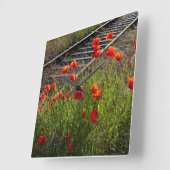 Wilde klaproos  vierkante klok (Hoek)