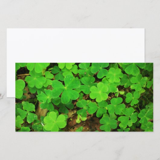 Wilde Klavers (Voorkant / Achterkant)