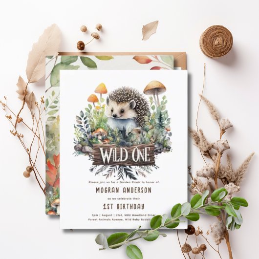 Wilde Kleine Baby Bosdieren Egel Rustiek