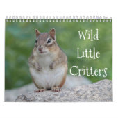 Wilde kleine ritten kalender (Hoes)
