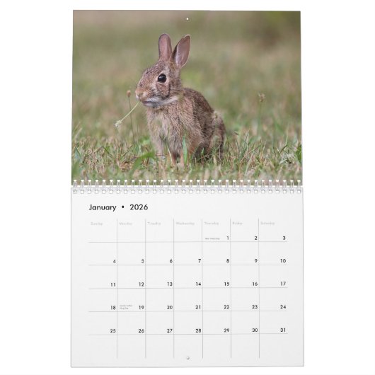 Wilde kleine ritten kalender (Jan 2026)