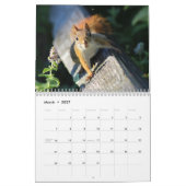 Wilde kleine ritten kalender (Mar 2027)