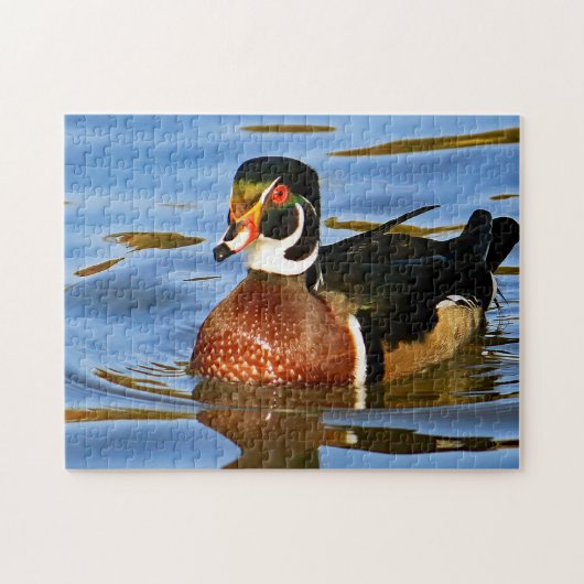Wilde kleurrijk hout Duck Blue Water Foto Legpuzzel (Horizontaal)
