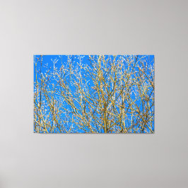 Wilde knoppen - ochtend van de lente canvas afdruk