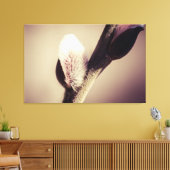 Wilde knoppen - stuwkracht van een nieuw leven canvas afdruk (Insitu (Woonkamer))