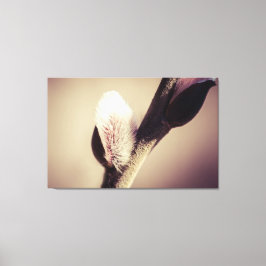 Wilde knoppen - stuwkracht van een nieuw leven canvas afdruk