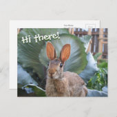 [Wilde konijn] Cute Bunny in de tuin Briefkaart (Voorkant / Achterkant)