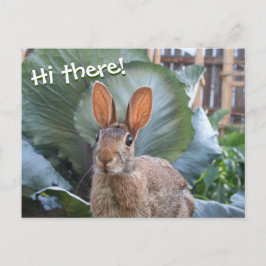 [Wilde konijn] Cute Bunny in de tuin Briefkaart