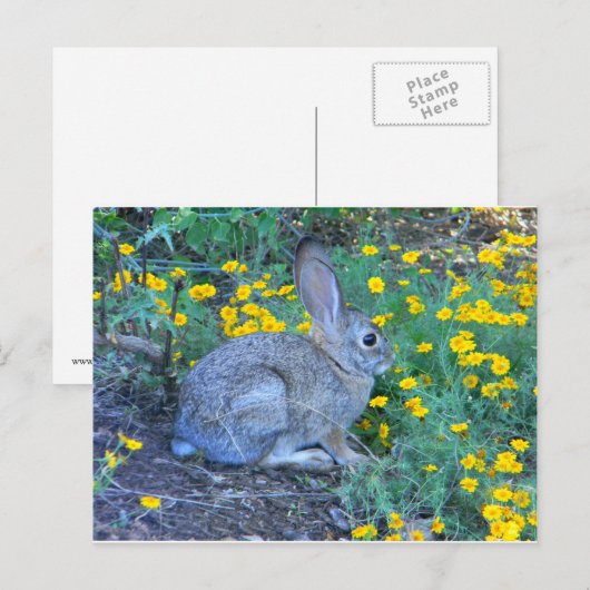 Wilde konijn in gele bloemen briefkaart (Voorkant / Achterkant)