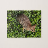 Wilde konijn in gras en klaver, puzzels (Horizontaal)