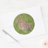 Wilde konijn in mijn achtertuin ronde sticker (Envelop)