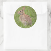 Wilde konijn in mijn achtertuin ronde sticker (Tas)