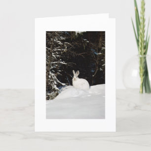 Wilde konijn in Sneeuwvakantiekerst Feestdagen Kaart