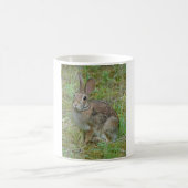 Wilde konijn oostelijk katoenstaart kleding en cad koffiemok (Center)