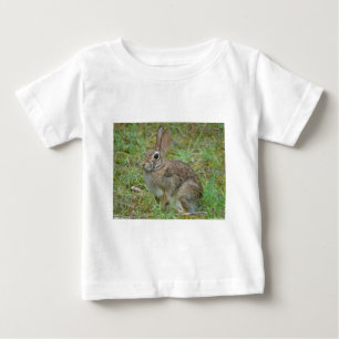 Wilde Konijn Oostelijke Katoenstaart II Kleding &