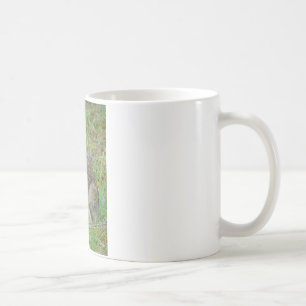 Wilde Konijn Oostelijke Katoenstaart Kleding en Ca Koffiemok