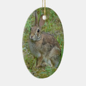 Wilde Konijn Oostelijke Katoenstaart Ornament (Rechts)