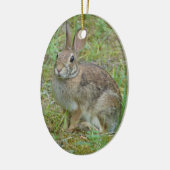 Wilde Konijn Oostelijke Katoenstaart Ornament (Links)