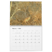 Wilde konijnen 2009 kalender (Feb 2026)