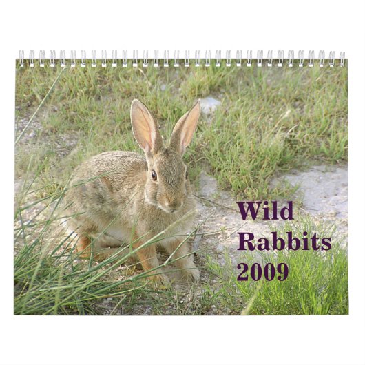 Wilde konijnen 2009 kalender (Hoes)