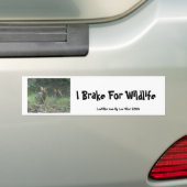 Wilde konijnen Eastern Cottontail Pair Apparel Gif Bumpersticker (Op auto)