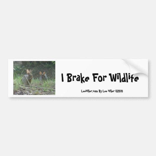 Wilde konijnen Eastern Cottontail Pair Apparel Gif Bumpersticker (Voorkant)